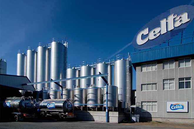 leche celta estandar