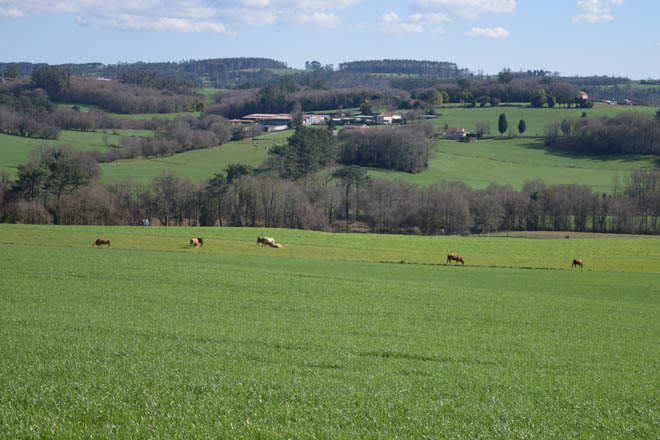 rural_paisaxe_01