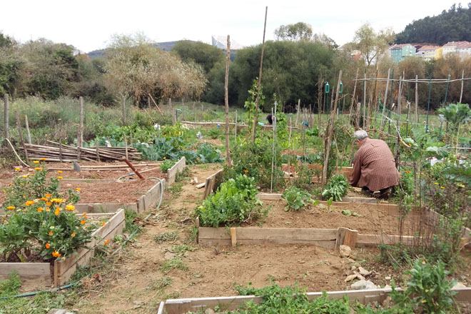 HORTA_URBANA_SANTIAGO