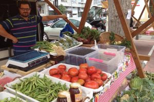 HORTA_MONDOÑEDO_mercado dos domingos4