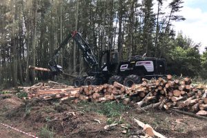 PROCESADORA_FORESTAL_LOGSET_PIONEER_BOVEDA_3