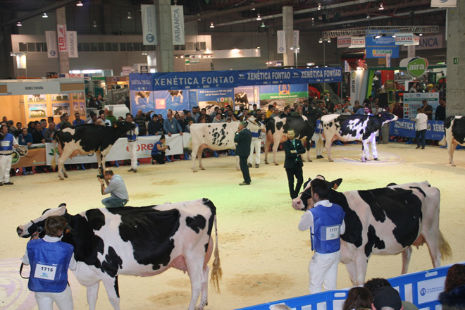Imaxe da edición do 2019, a última celebrada, do Concurso Autonómico de Fefriga