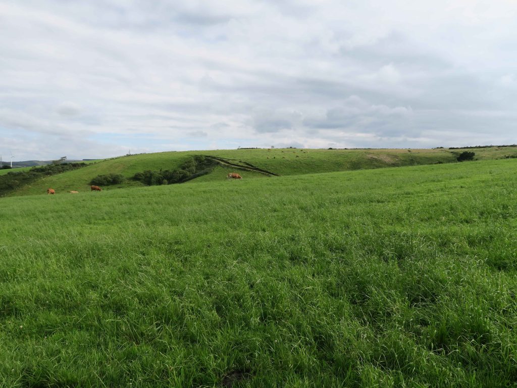 Monte roturado e convertido en pradeira nas Sasdónigas logo da concentración parcelaria