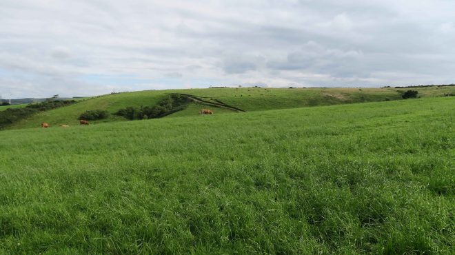 Monte roturado e convertido en pradeira nas Sasdónigas logo da concentración parcelaria