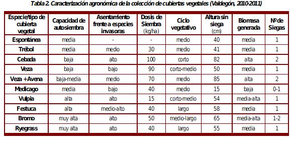 cuberta vexetal cadro 2 viñedo