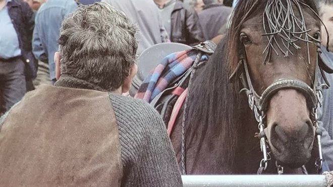 Feira das Maulas na parroquia de Galdo, en Viveiro