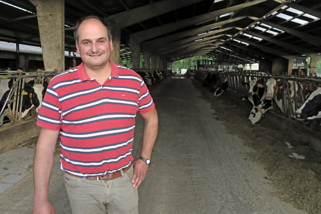 Emilio, coas súas vacas na parroquia de Xustás, en Cospeito