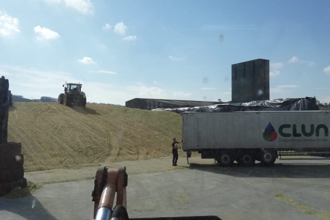 Ensilando na cooperativa CLUN, na Mariña lucense