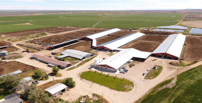 Andersen Dairy, en Ohio