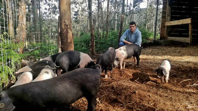 Nando xunto aos seus porcos na finca de 3 hectáreas onde os ten