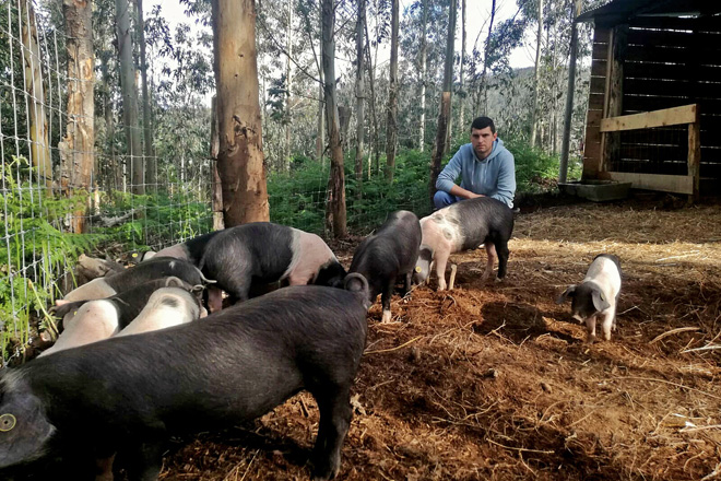 Nando xunto aos seus porcos na finca de 3 hectáreas onde os ten