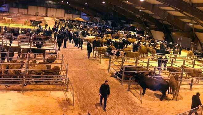 Mercado semanal dos mercores en Amio, en Santiago de Compostela