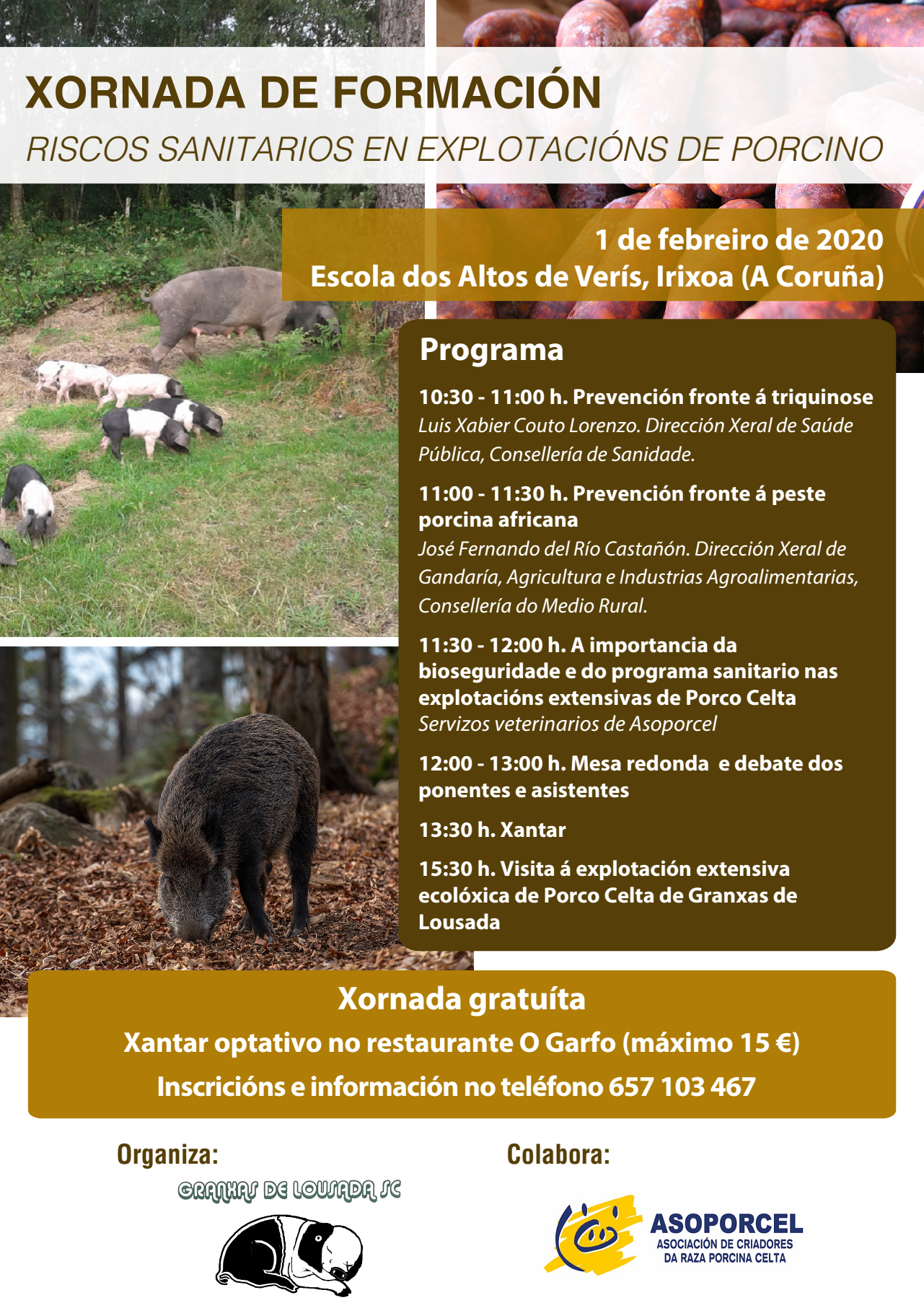 programa porcino granxas de lousada