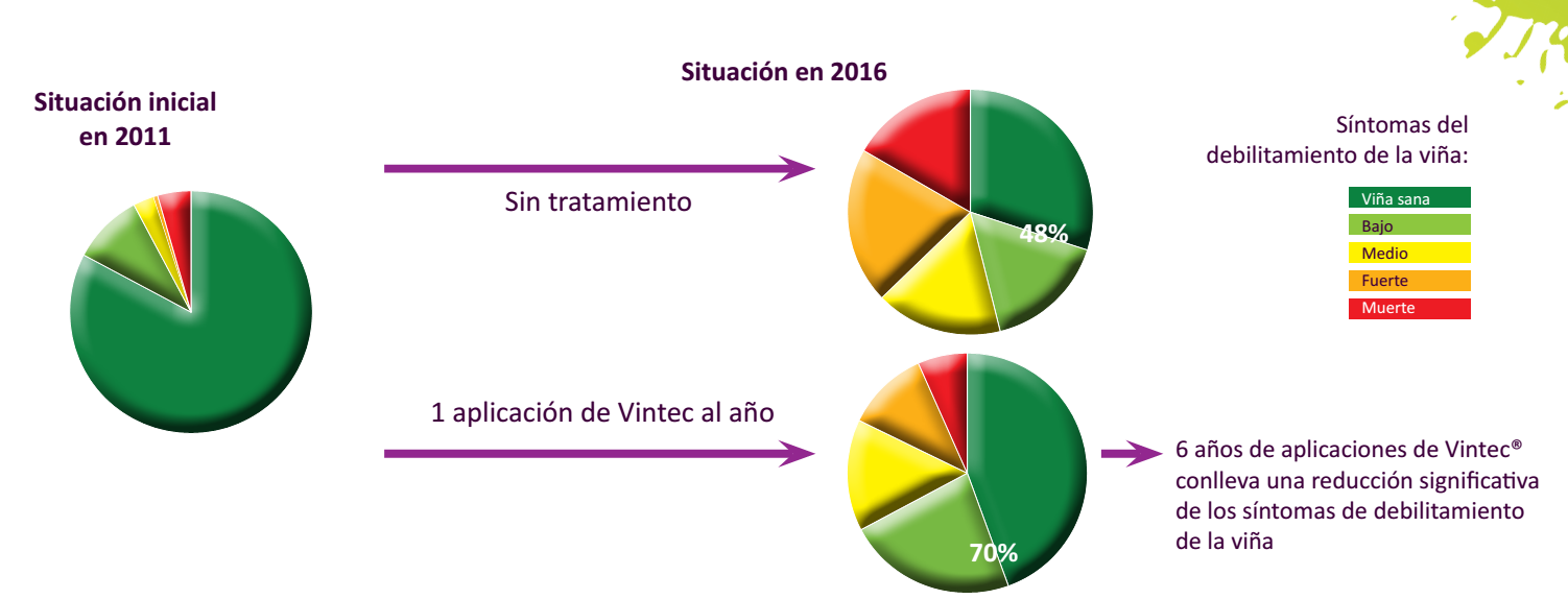 Fonte: BELCHIM