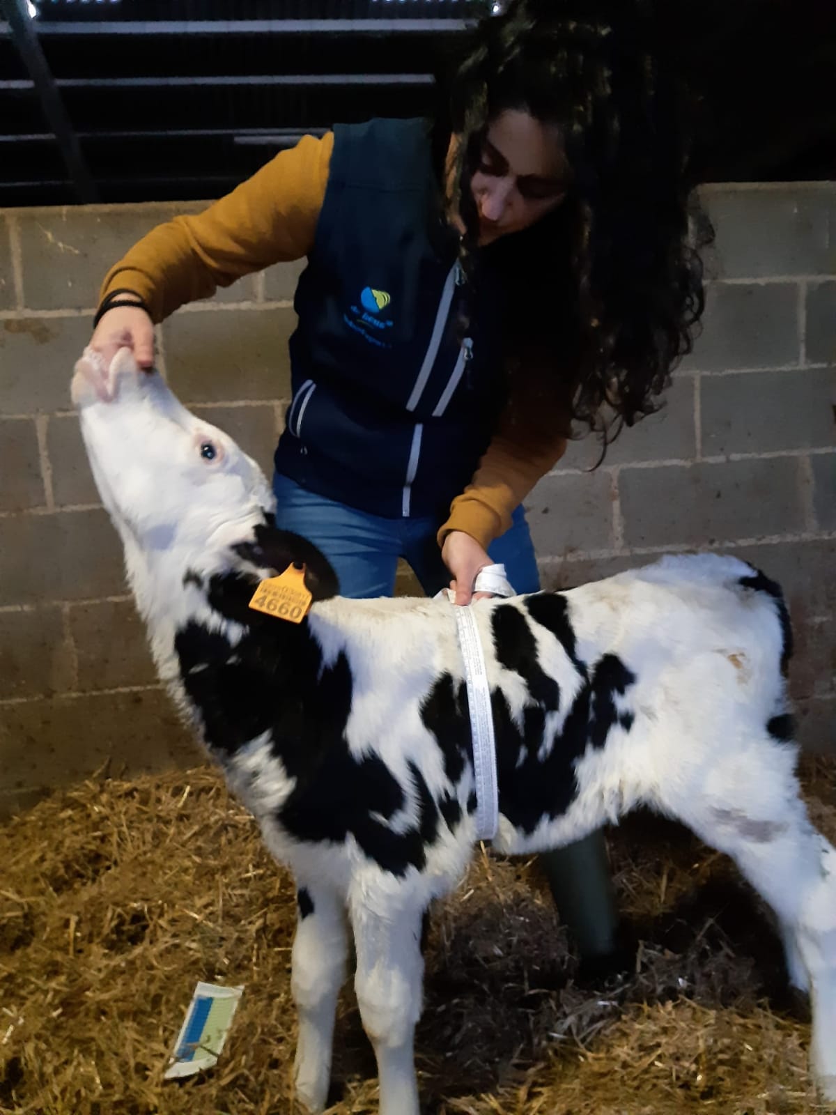 DE HEUS VETERINARIA 1