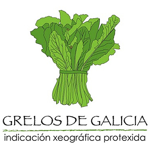 Logo IXP Grelos de Galicia blanco