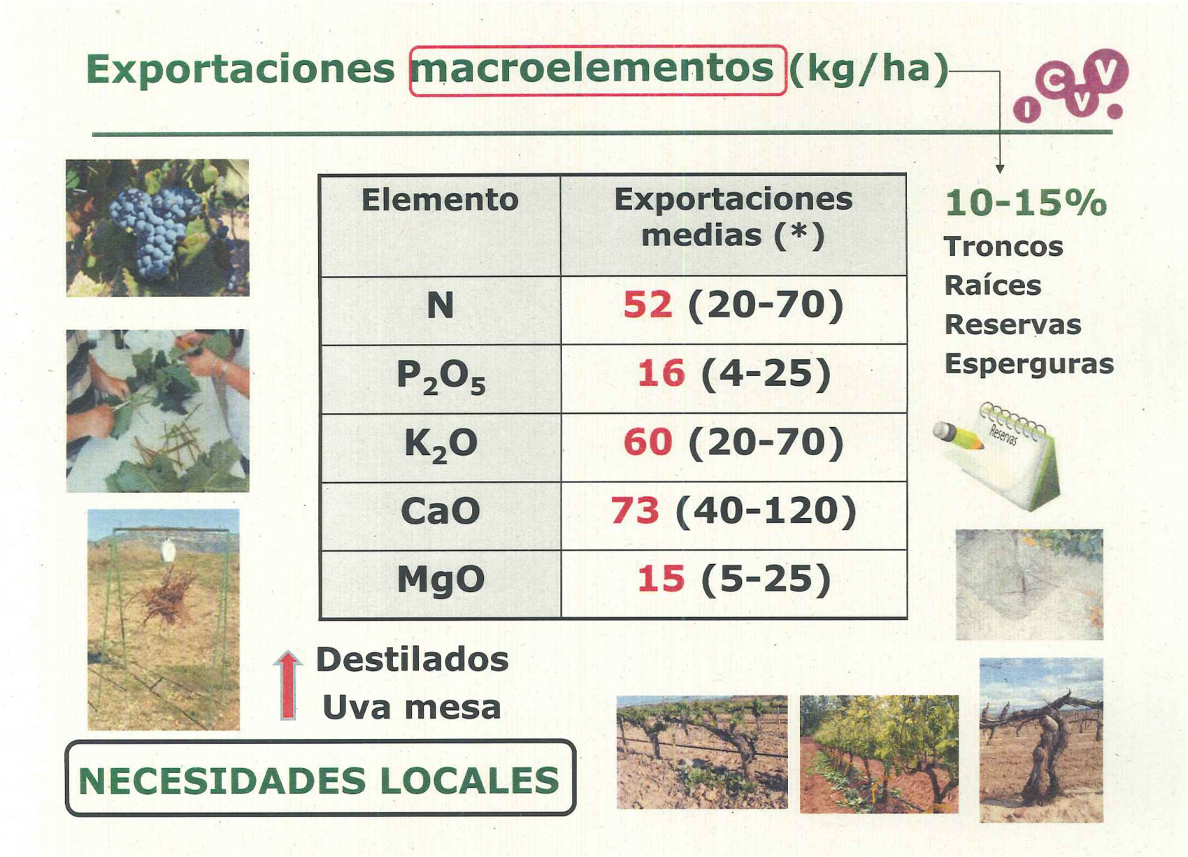 NUTRICION VIÑEDO ESCUDERO 1