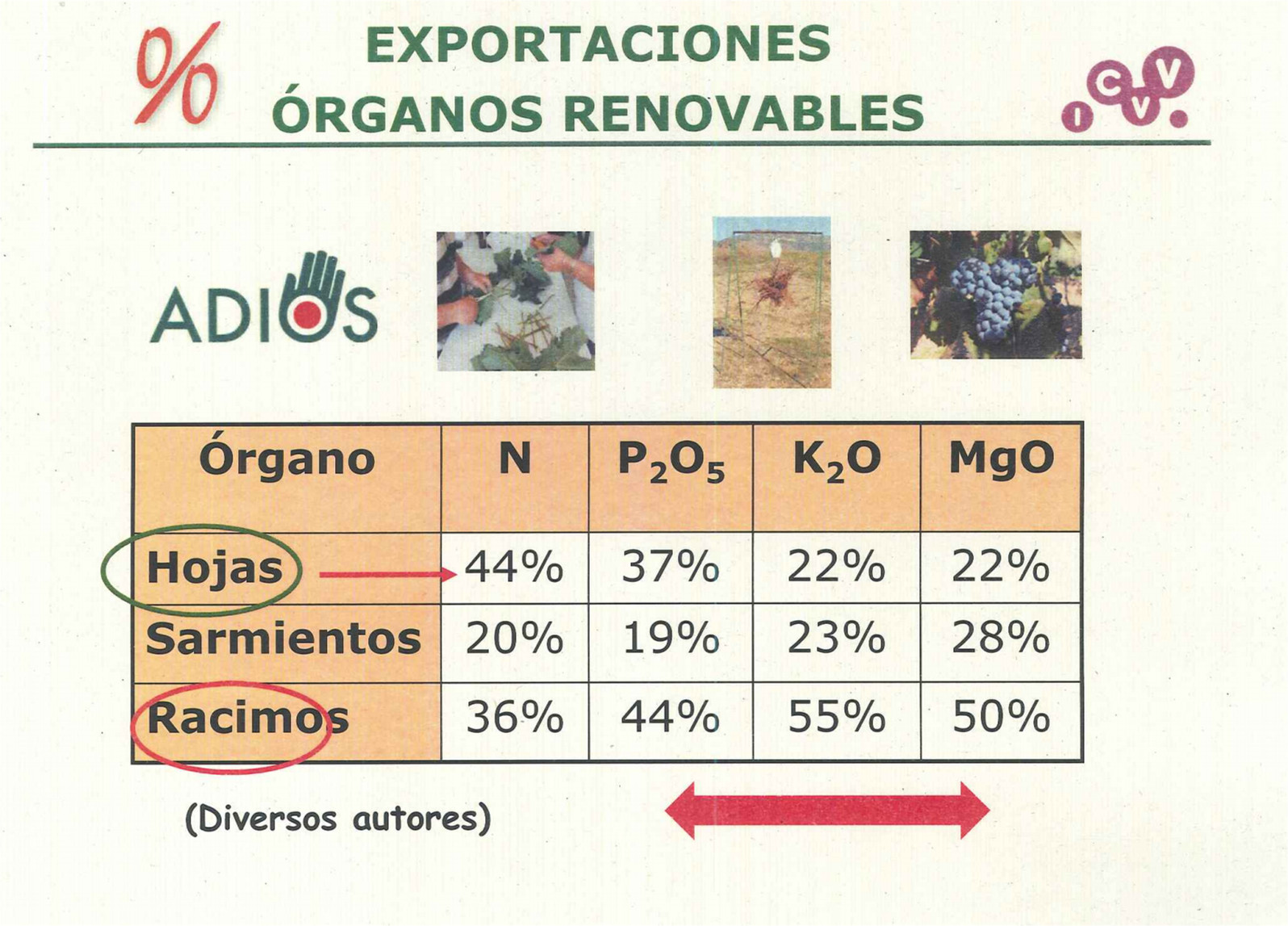 NUTRICION VIÑEDO ESCUDERO 2