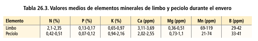 VIÑEDO ABONADO ESCUDERO 1
