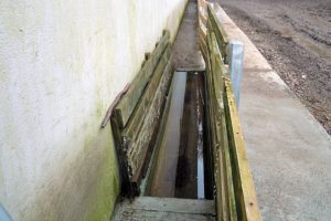 Manga pola que pasan as ovellas ao voltar do pasto para realizar o baño de pés
