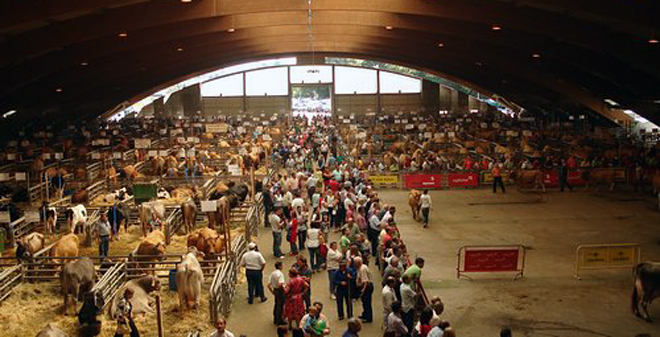Mercado de Pola de Siero, que celebra feira de gando de abasto os luns e de recría os xoves