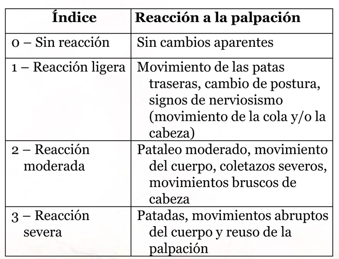 Reaccion-palpacion-ubre-vacas--secado-
