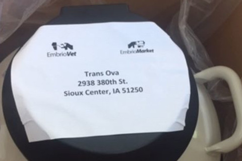 embriomarket 3