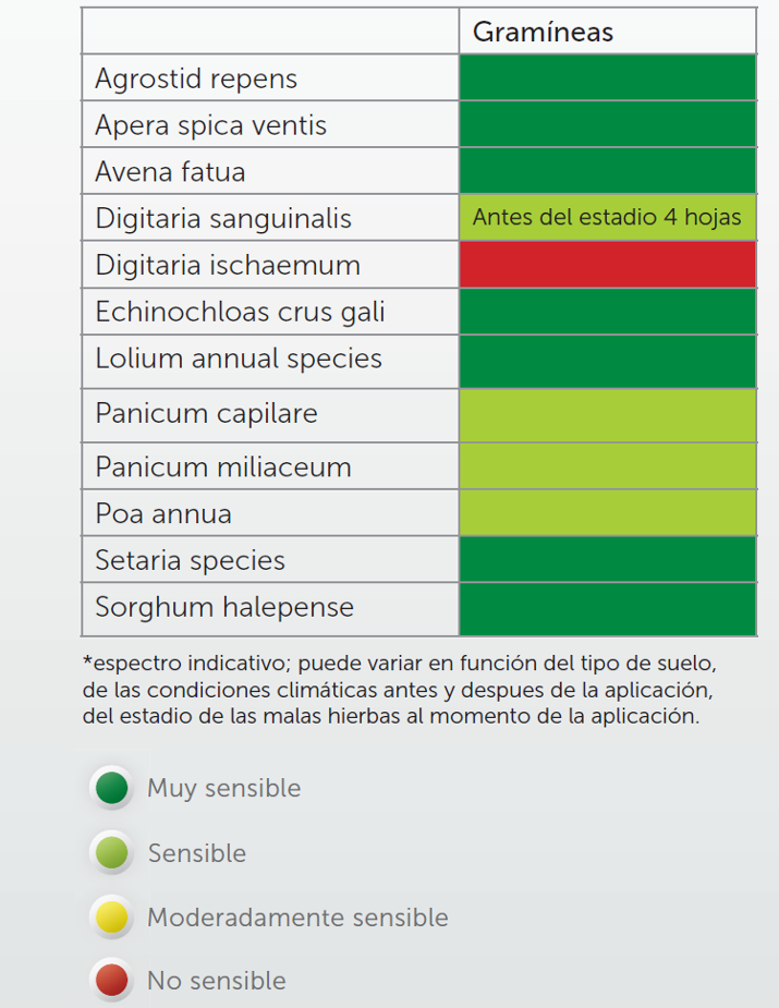 BELCHIM HERBICIDA CADRO 3