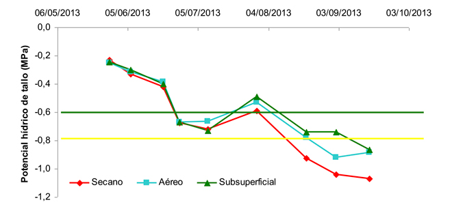 Evolucion-cepas-con-riego-y-secano-en-VAldeorras-