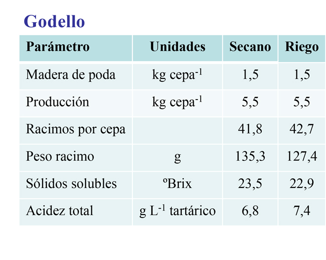 Experiencia-rega-de-vide-godello-Ribeiro-