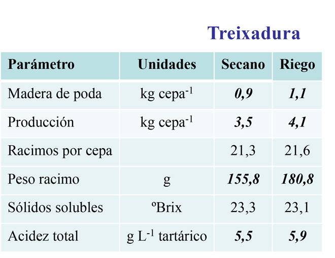 Experiencia-rega-vide-Treixadura-Ribeiro-