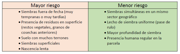 PIONEER CORVOS