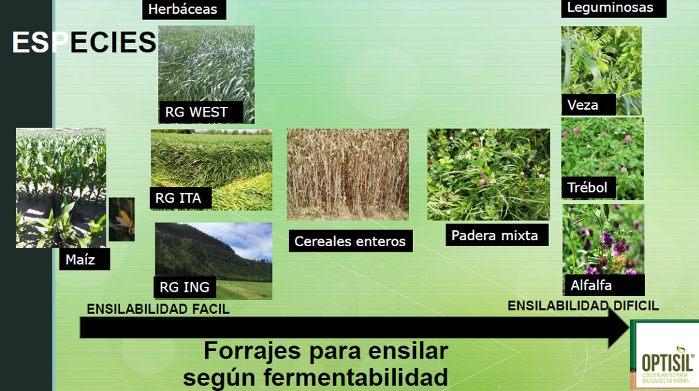 SILO APRENDE 1