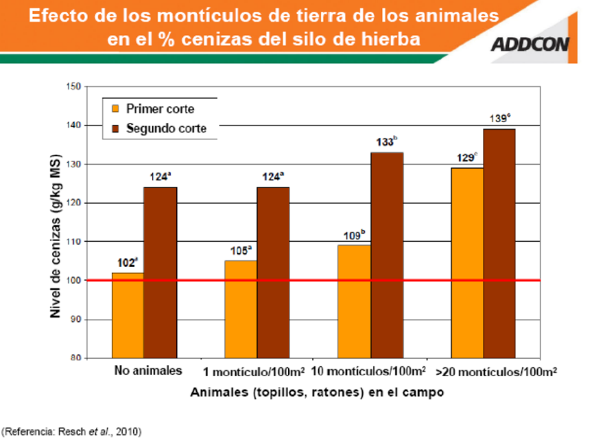 SILO APRENDE 4