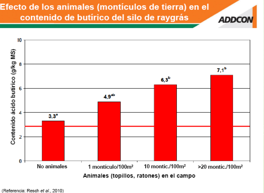 SILO APRENDE 5