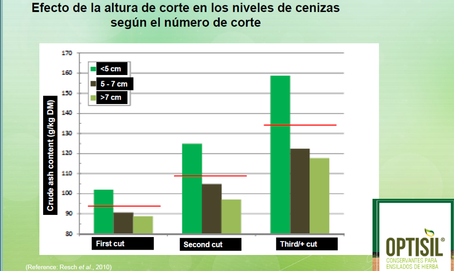 SILO APRENDE 6