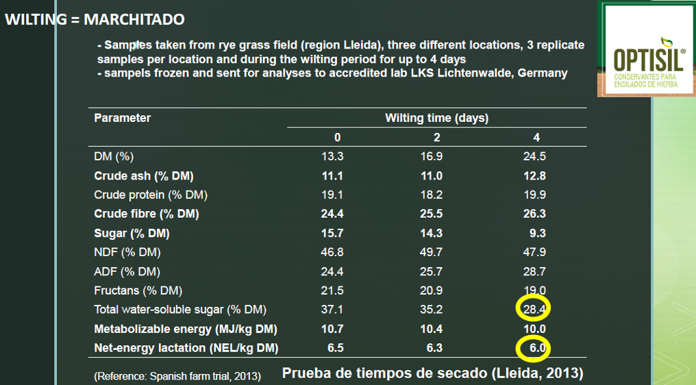 SILO APRENDE 7