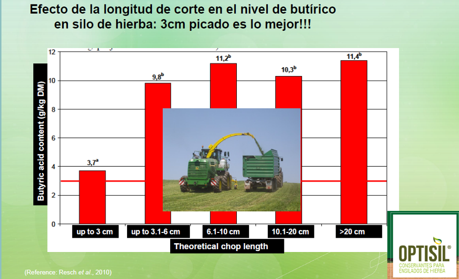 SILO APRENDE 8