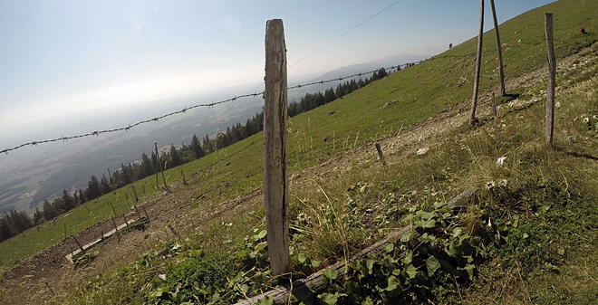A produción de leite concéntrase nas zonas baixas, mentres as zonas altas están destinadas a cabras e vacún de carne