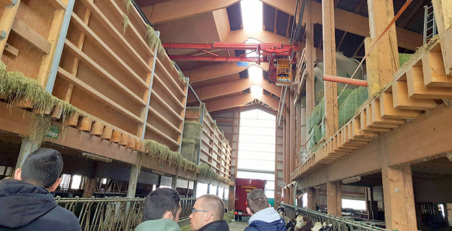 Polo corredor de alimentación mediante unha ponte grúa accédese á palleira, que está sobre o patio das vacas