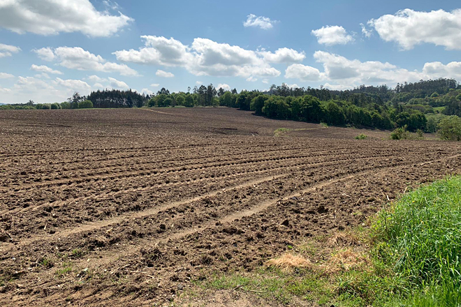 Finca sementada con millo a mediados de abril por Ganxabar