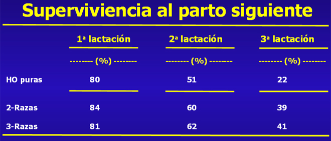 grafico lonxevidade Procross ESP