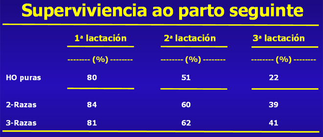 grafico lonxevidade Procross GAL