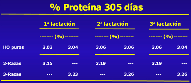 grafico proteina Procross