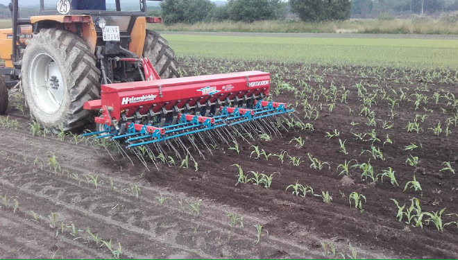 La utilización de métodos mecánicos y biológicos será clave para la reducción de herbicidas e insecticidas