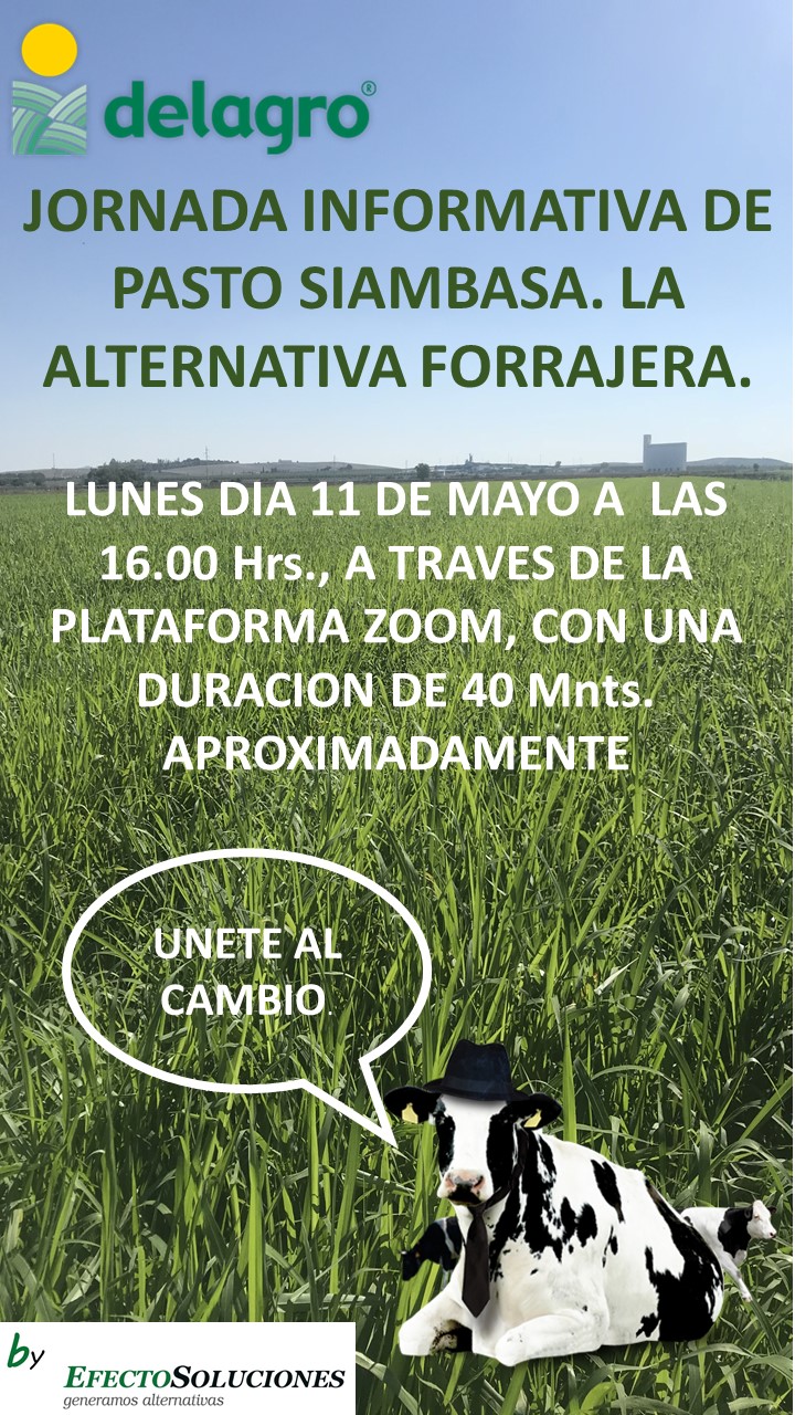 DELAGRO XORNADA SIAMBASA