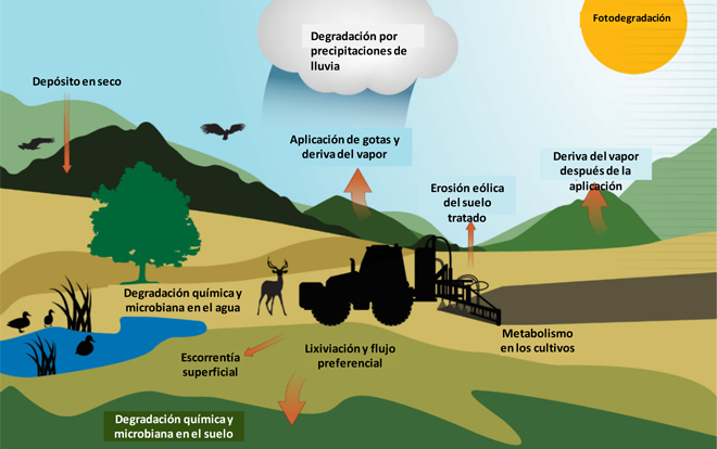 Special Report No 05/2020: Sustainable use of plant protection p
