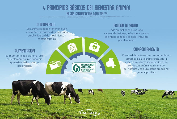 Infografía bienestar Animal LACTALIS