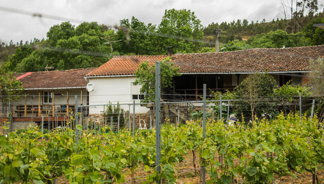 Vides-Adega-Manuel-Vazquez-Losada-Do-Monterrei-