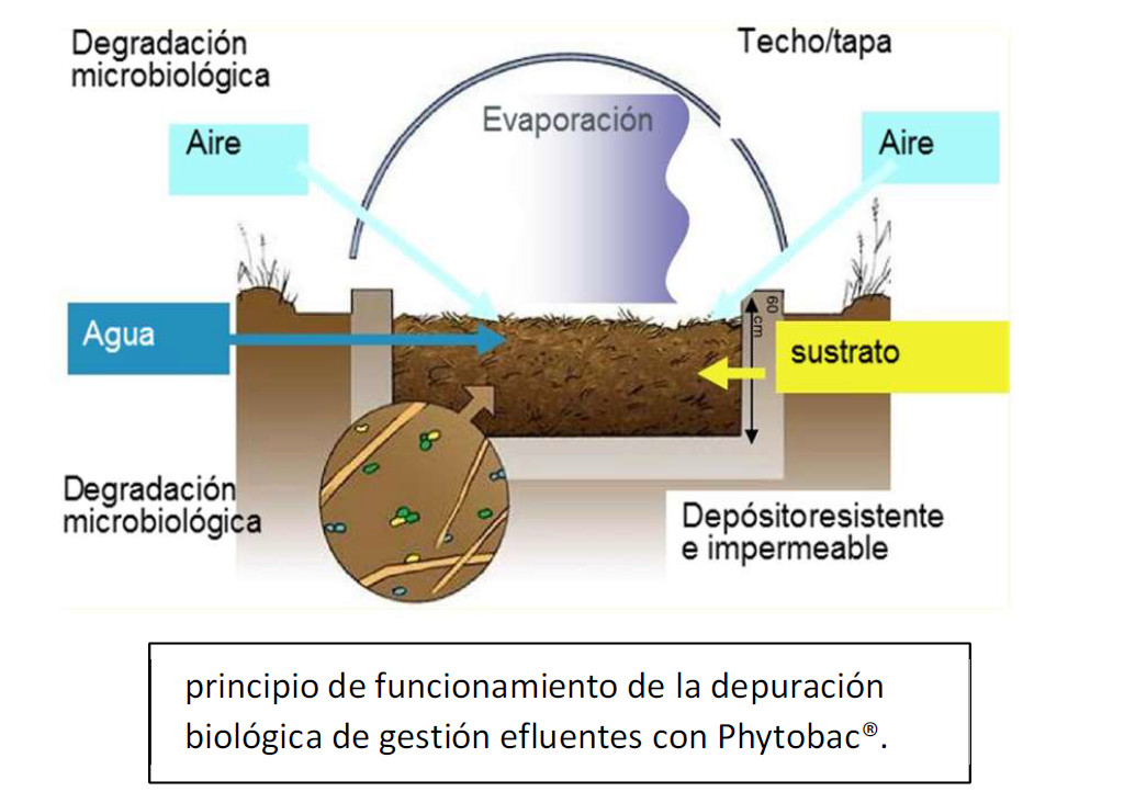efluentes bayer phitobac